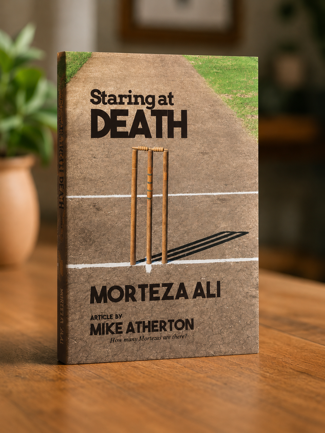 《Staring at DEATH》--MORTEZA ALI