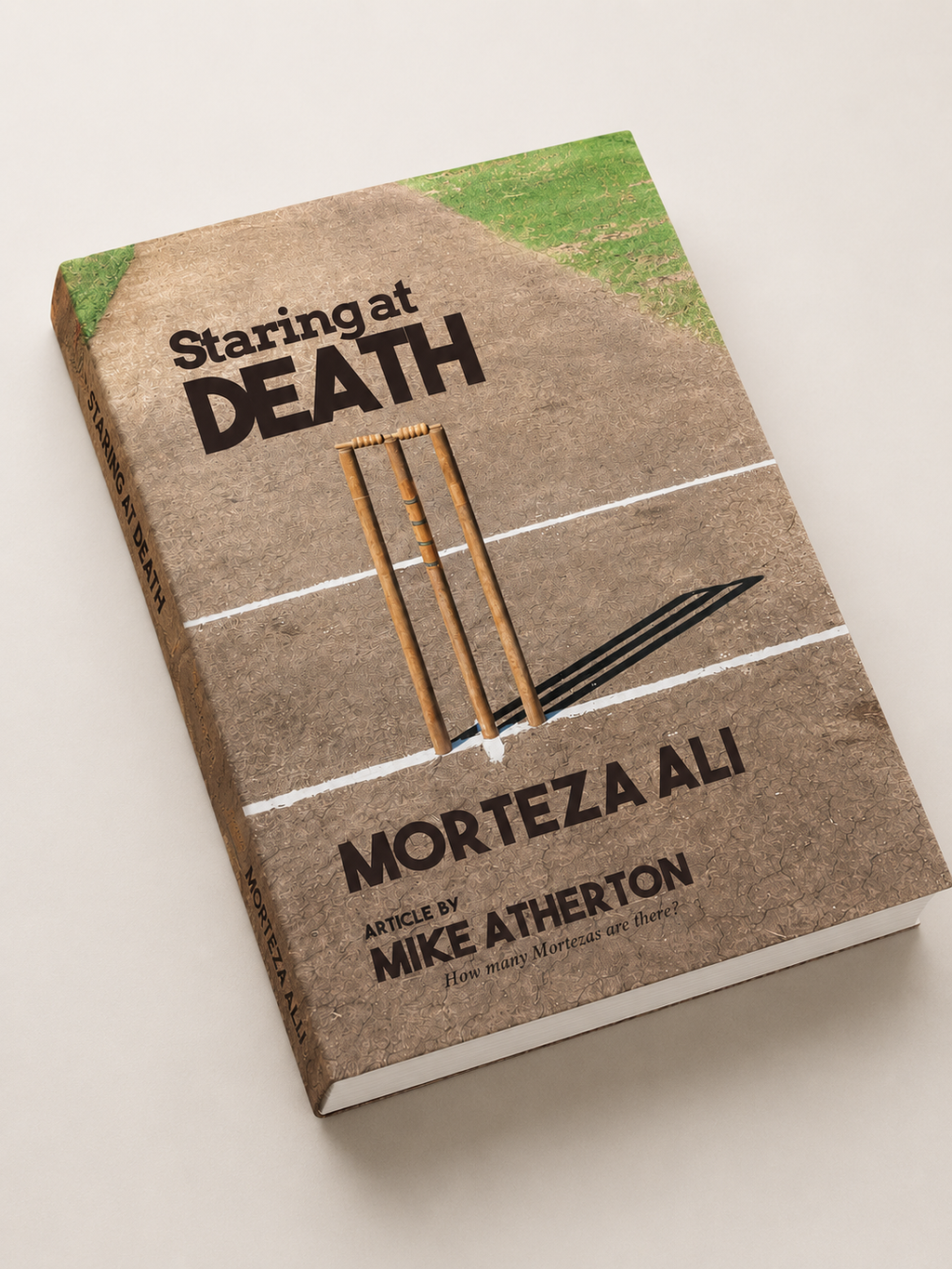 《Staring at DEATH》--MORTEZA ALI