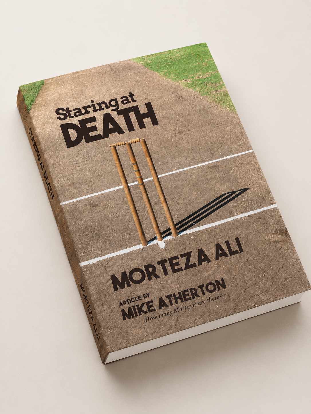 《Staring at DEATH》--MORTEZA ALI