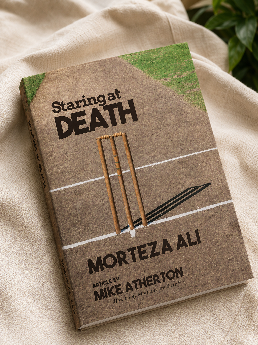 《Staring at DEATH》--MORTEZA ALI